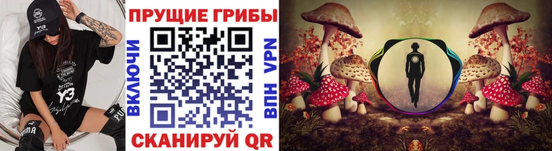 Галлюциногенные грибы Psilocybe  Купить закладки  Грязи 